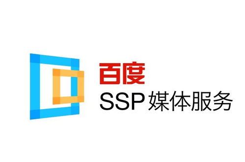 怎么查询蜘蛛池